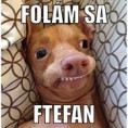 Ftefan 